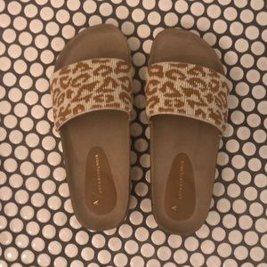 Anthropologie slides